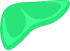 Liver