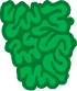 Small Intestine